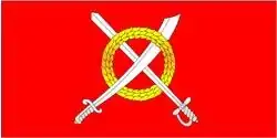 Flag of Chavusy district