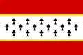 Flag of Chotětov