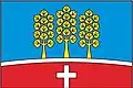 Flag of Dušejov
