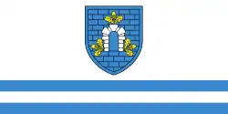 Flag of Dubrowna district
