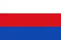 Flag of El Paujil