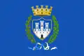 Flag of Gorizia