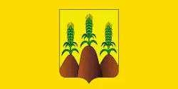 Flag of Horki district