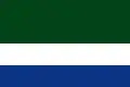 Flag of Istmina
