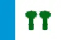 Flag of Kadyysky District