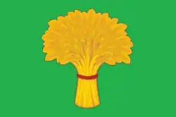 Flag of Kansk