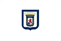 Flag of the Department of Leon