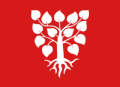 Flag of Lindås Municipality
