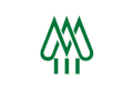 Flag of Midori