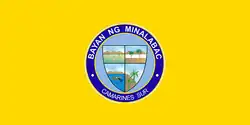 Flag of Minalabac
