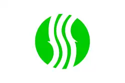 Flag of Nakagawa