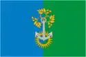 Flag of Nizhnyaya Tura