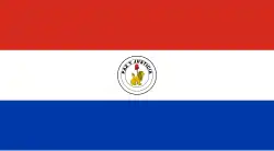 Flag of Paraguay, The reverse, official, and two-sided symbols indicate this is the reverse side of an authorized flag, and that the obverse side is different.