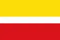 Flag of Pavlov