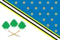 Flag of Piatykhatky Raion