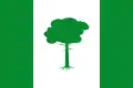 Flag of Pinos Puente, Spain