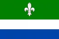 Flag of Protivanov