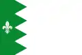 Flag of Puebla de Lillo, Spain