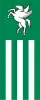Flag of Rogaška Slatina