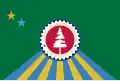 Flag of Saginaw County