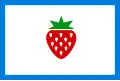 Flag of Searcy County