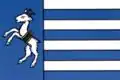 Flag of Slezská Ostrava