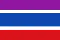 Flag of Soto de la Vega, Spain