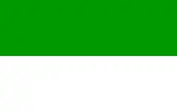 Flag of Tonk
