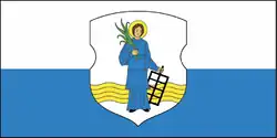 Flag of Ushachy district