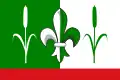 Flag of Výšovice