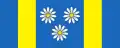 Flag of Velika Polana