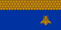 Flag of Viļāni