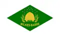 Flag of Wilkes-Barre, Pennsylvania