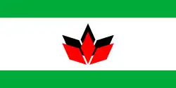 Flag of the Democratic Alliance of Hungarians in Romania