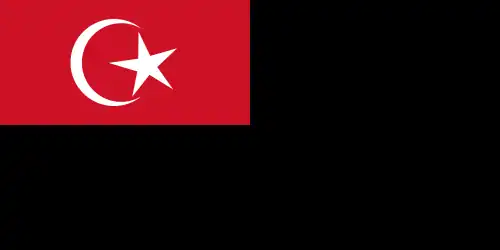 Commercial flag