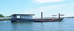 Floating Pool Lady