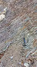 Closer view of bedded Liminangcong chert outcrop near the Marina del Sol yacht club