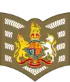 Service dress insignia