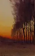 Sunrise through the Trees