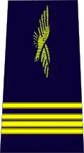 French Air and Space Force commandant