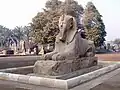 The alabaster sphinx found outside the Temple of Ptah