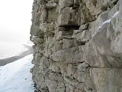 The cliffs originate from a 65 million year old coral reef, and appear as rocky cliffs of lime and flint along the coast