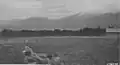A view of Gallatin National Forest in 1921