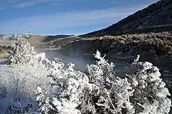 Winter 2009