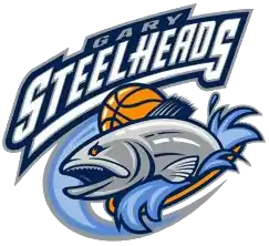 {{{name}}} logo