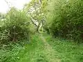 Glapthorn Cow Pasture
