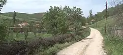 The village of Gojbulja, in the north of Kosovo