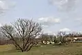 Gornje Leskovice - Panorama