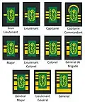 Pharmacist Ranks of the medical component.