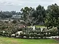 Overview of the southwestern perspective of the Grant Parker Memorial Rose Garden